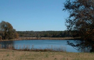 Pond view looking towards state park